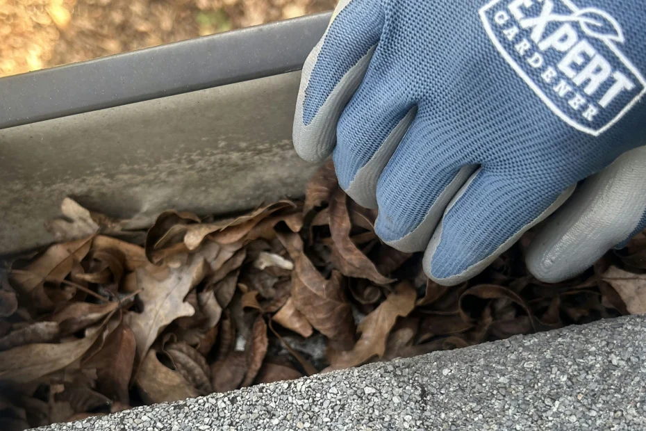 Gutter Cleaning Mount Airy