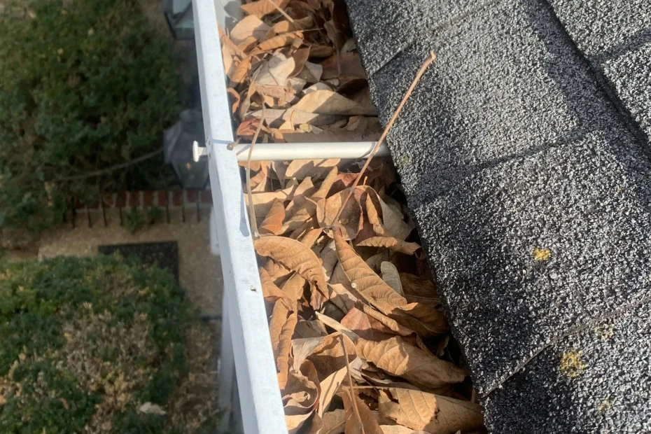 Gutter Cleaning Mount Airy