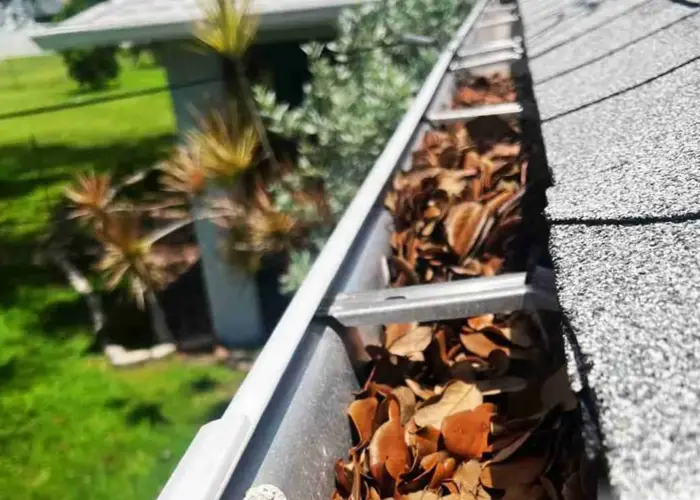 Gutter Cleaning Mount Airy home page